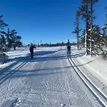 Cosy Mountain 875m Near Turufjell, Ski, Fishing, Hiking And Quiet Nature
