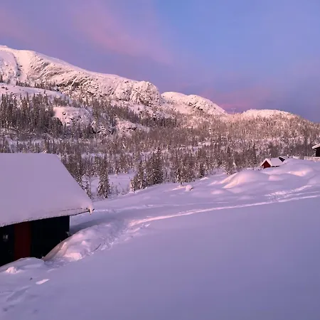 Cosy Mountain 875m Near Turufjell, Ski, Fishing, Hiking And Quiet Nature Flå