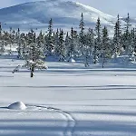 Cosy Mountain 875m Near Turufjell, Ski, Fishing, Hiking And Quiet Nature Flå