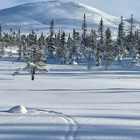 Cosy Mountain 875m Near Turufjell, Ski, Fishing, Hiking And Quiet Nature Flå