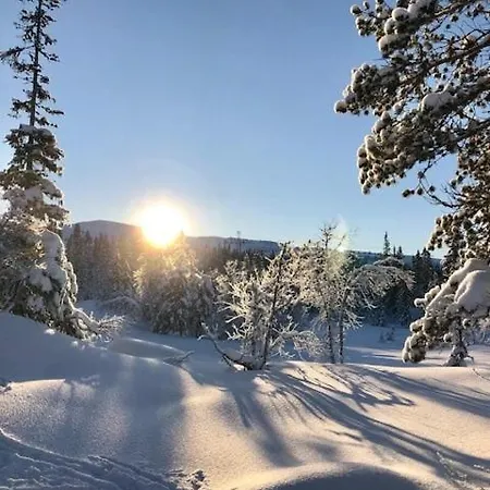 Cosy Mountain 875m Near Turufjell, Ski, Fishing, Hiking And Quiet Nature Flå